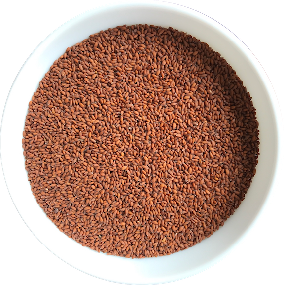 asalio seed