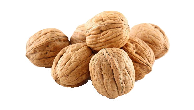 Chile walnuts with shell