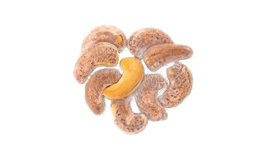 Cashew with Skin Vietnam Medium