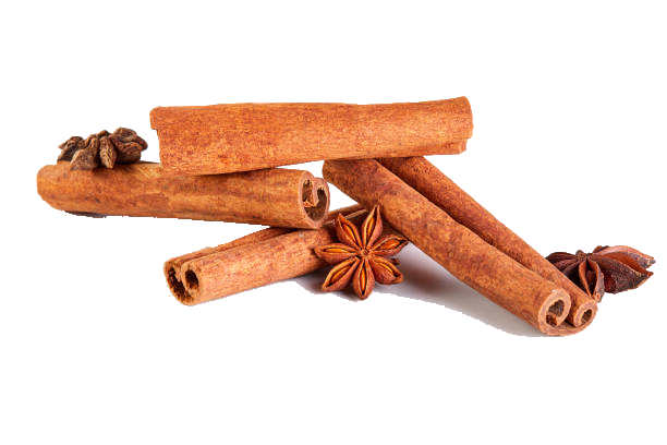 Cinnamon Stick China